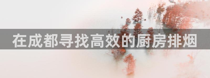 凯时最新官方APP下载：在成都寻找高效的厨房排烟