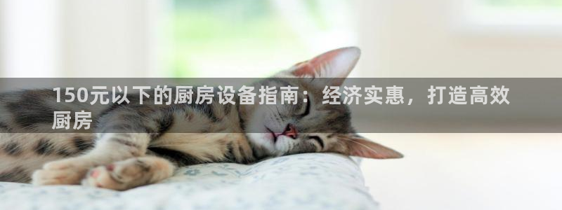 ag尊龙官方网站app：150元以下的厨房设备指南：经济实惠