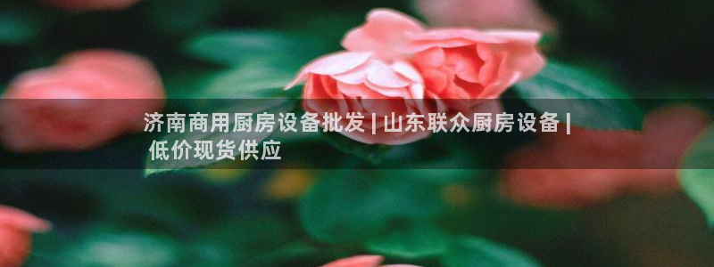 凯时ag旗舰厅网址是什么：济南商用厨房设备批发 | 山东联众