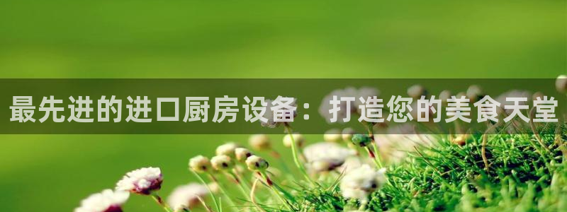 Ag尊龙平台：最先进的进口厨房设备：打造您的美食天堂