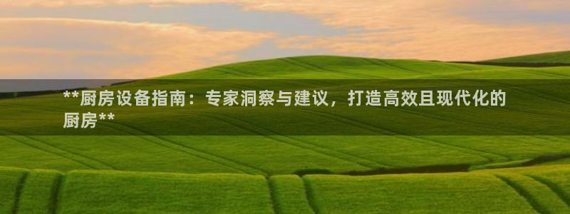 尊龙注册码：**厨房设备指南：专家洞察与建议，打造高效且现代