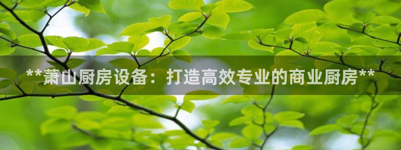 尊龙凯时输了100万：**萧山厨房设备：打造高效专业的商业厨