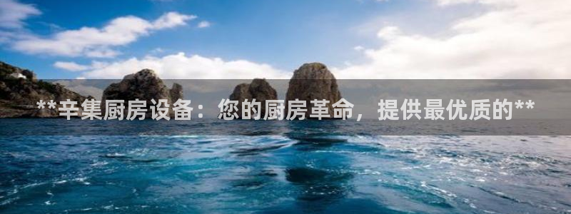 尊龙 ag：**辛集厨房设备：您的厨房革命，提供最优质的**