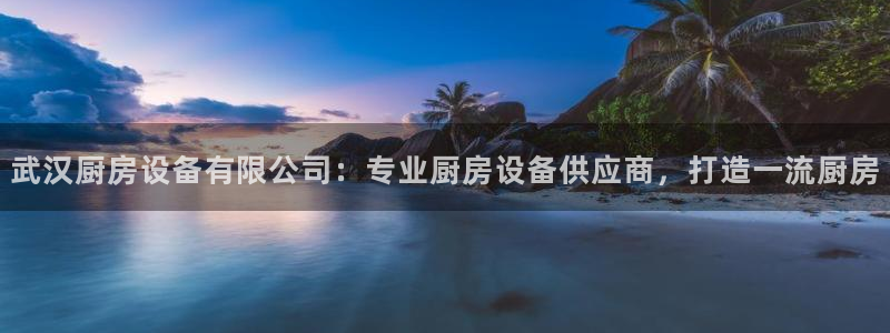 尊龙AG旗舰厅app下载：武汉厨房设备有限公司：专业厨房设备
