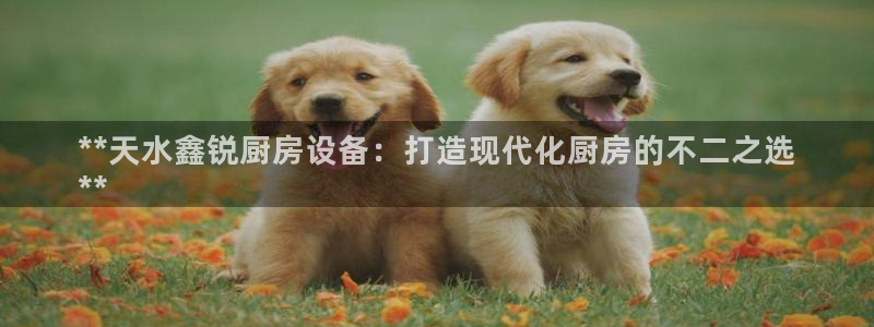 凯时官网app下载官方网站：**天水鑫锐厨房设备：打造现代化