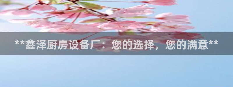 z6com尊龙凯时百家乐下载：**鑫泽厨房设备厂：您的选择，