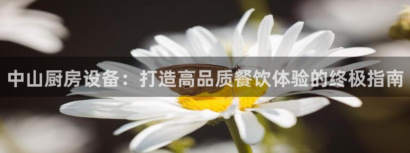 尊龙凯时存款不上分：中山厨房设备：打造高品质餐饮体验的终极指