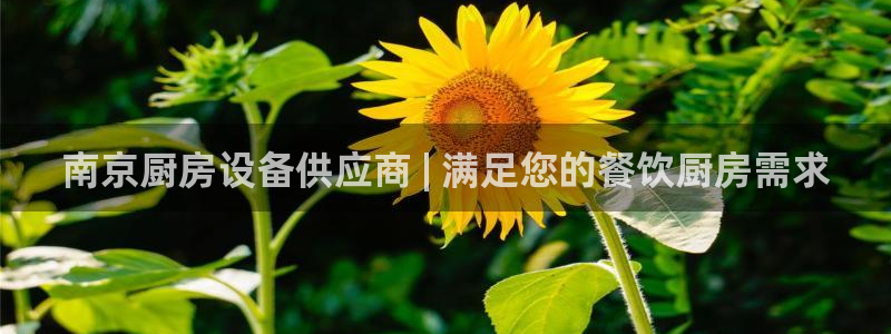 尊龙AG旗舰厅app下载：南京厨房设备供应商 | 满足您的餐