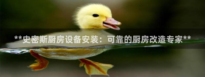 尊龙app|首选agdaohang：**史密斯厨房设备安装：