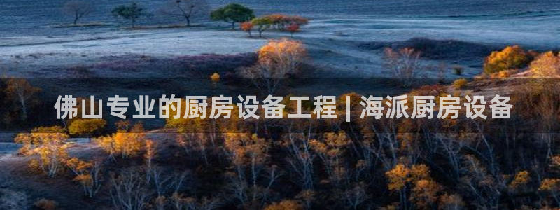 凯时k88最新： 佛山专业的厨房设备工程 | 海派厨房设备