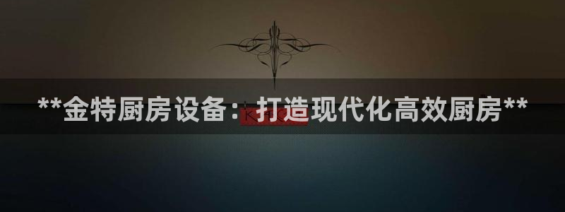 尊龙用现金娱乐一下下载旧：**金特厨房设备：打造现代化高效厨