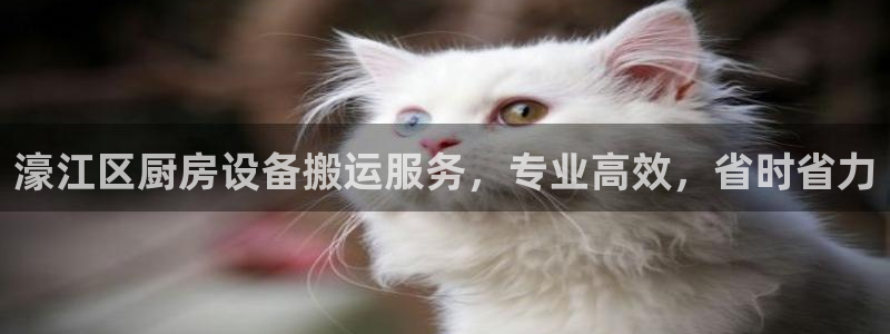 尊龙网址是多少：濠江区厨房设备搬运服务，专业高效，省时省力