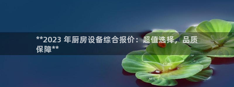 z6尊龙凯时ag旗舰厅：**2023 年厨房设备综合报价：超