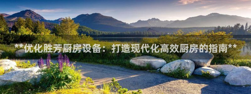 尊龙网址苹果版下载：**优化胜芳厨房设备：打造现代化高效厨房