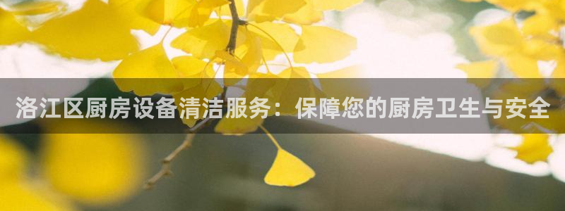 尊龙官方平台是正品吗：洛江区厨房设备清洁服务：保障您的厨房卫