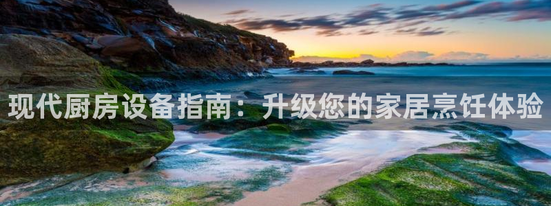 尊龙官网入口：现代厨房设备指南：升级您的家居烹饪体验