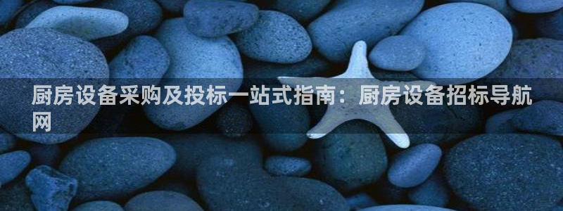 尊龙实业有限公司属于国企吗：厨房设备采购及投标一站式指南：厨