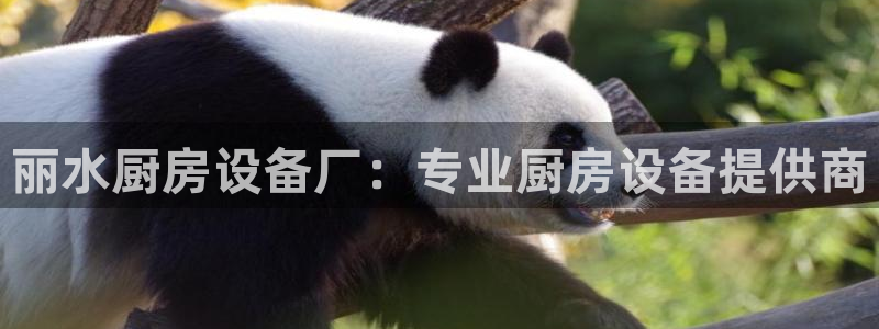 尊龙凯时凯发官网：丽水厨房设备厂：专业厨房设备提供商