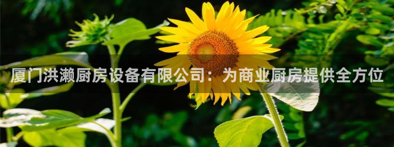 尊龙凯时官网版登录：厦门洪濑厨房设备有限公司：为商业厨房提供