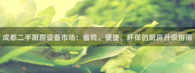 尊龙官方平台是正品吗：成都二手厨房设备市场：省钱、便捷、环保