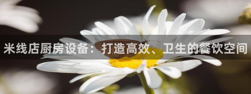 尊龙d88平台登录：米线店厨房设备：打造高效、卫生的餐饮空间