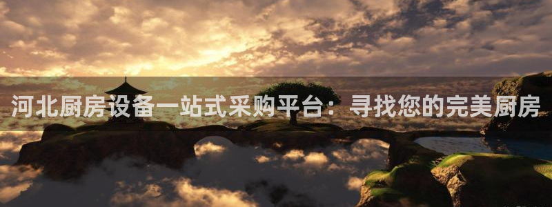尊龙凯时一人生就是博登入：河北厨房设备一站式采购平台：寻找您