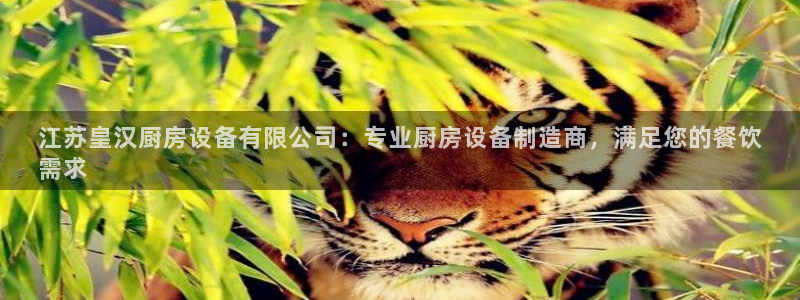凯时官网联系方式：江苏皇汉厨房设备有限公司：专业厨房设备制造