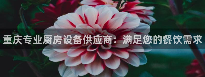 尊龙会：重庆专业厨房设备供应商：满足您的餐饮需求