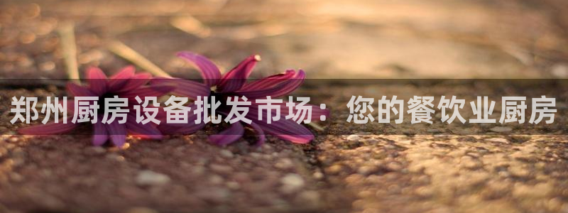 尊龙ag旗舰：郑州厨房设备批发市场：您的餐饮业厨房