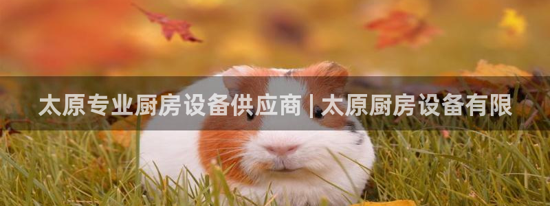 Z6尊龙官网入口：太原专业厨房设备供应商 | 太原厨房设备有