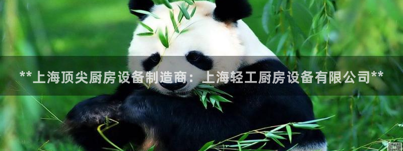 尊龙AG旗舰厅app下载：**上海顶尖厨房设备制造商：上海轻