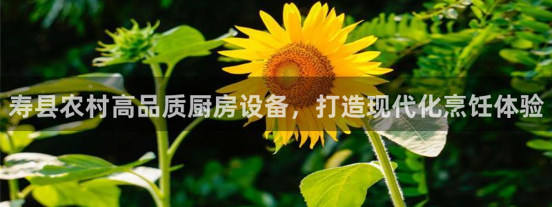 尊龙人生就是博旧版：寿县农村高品质厨房设备，打造现代化烹饪体