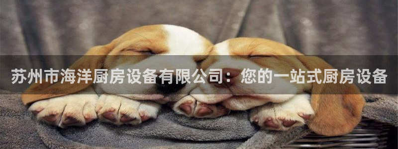 凯时效果怎么样：苏州市海洋厨房设备有限公司：您的一站式厨房设