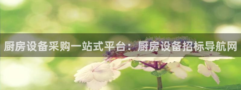 尊龙人生就是博手机版下载：厨房设备采购一站式平台：厨房设备招