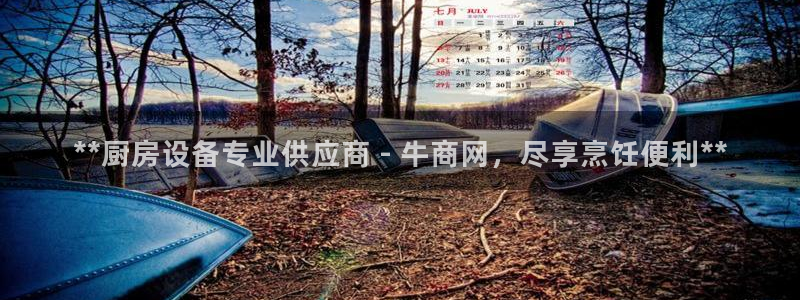 尊龙集团有限公司官网：**厨房设备专业供应商 - 牛商网，尽