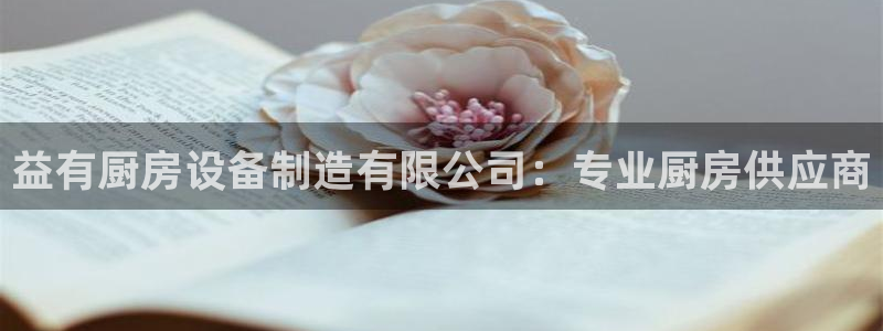 凯时K8国际：益有厨房设备制造有限公司：专业厨房供应商