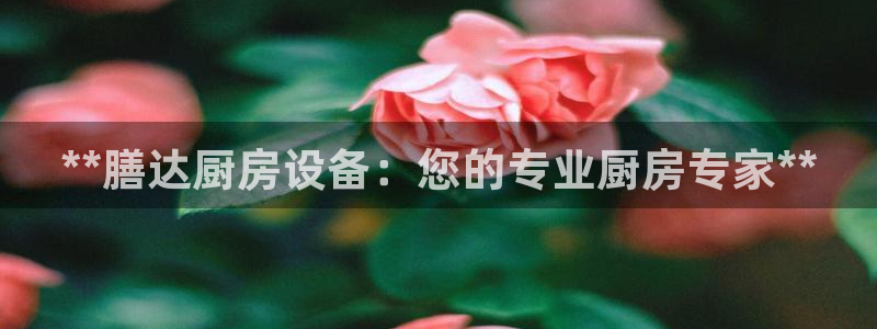 尊龙 中国：**膳达厨房设备：您的专业厨房专家**