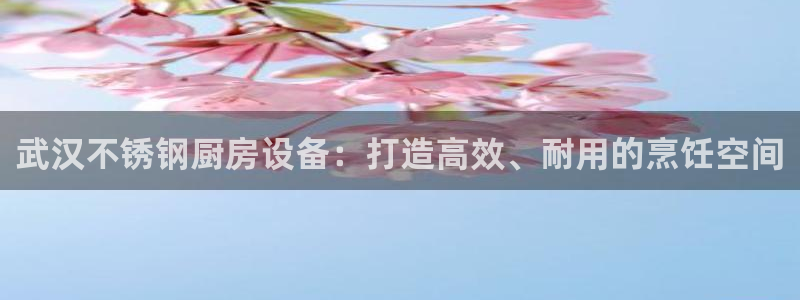 尊龙凯时人生就博官网登录：武汉不锈钢厨房设备：打造高效、耐用