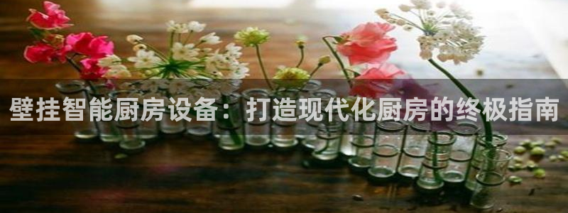凯时最新官方APP下载：壁挂智能厨房设备：打造现代化厨房的终