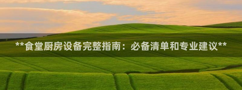尊龙集团有限公司：**食堂厨房设备完整指南：必备清单和专业建