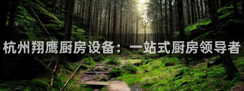 尊龙凯时官方网站下载：杭州翔鹰厨房设备：一站式厨房领导者