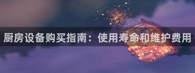 尊龙官方网站最新版V9.3.06：厨房设备购买指南：使用寿命