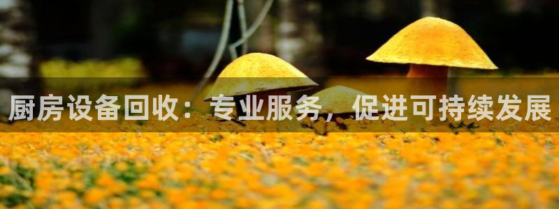 尊龙凯时输了100万：厨房设备回收：专业服务，促进可持续发展