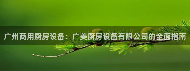 尊龙目前在哪：广州商用厨房设备：广美厨房设备有限公司的全面指