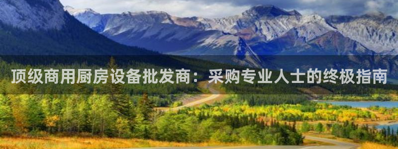 尊龙人生就是博l：顶级商用厨房设备批发商：采购专业人士的终极