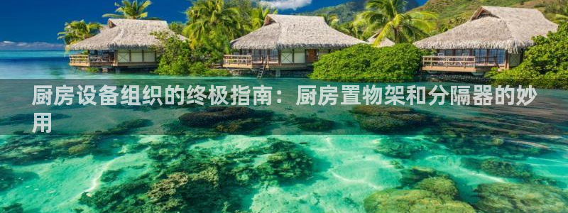 尊龙d88平台版下载：厨房设备组织的终极指南：厨房置物架和分