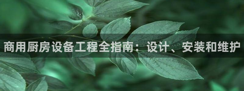 尊龙凯时公司官网：商用厨房设备工程全指南：设计、安装和维护