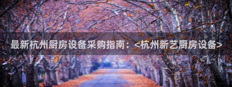 尊龙凯时人生就博官网：最新杭州厨房设备采购指南：<杭州新艺厨