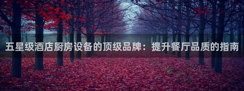 凯时国际app首页：五星级酒店厨房设备的顶级品牌：提升餐厅品