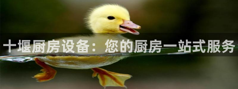 尊龙官网免费下载安卓：十堰厨房设备：您的厨房一站式服务